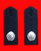 治安消防制服肩章